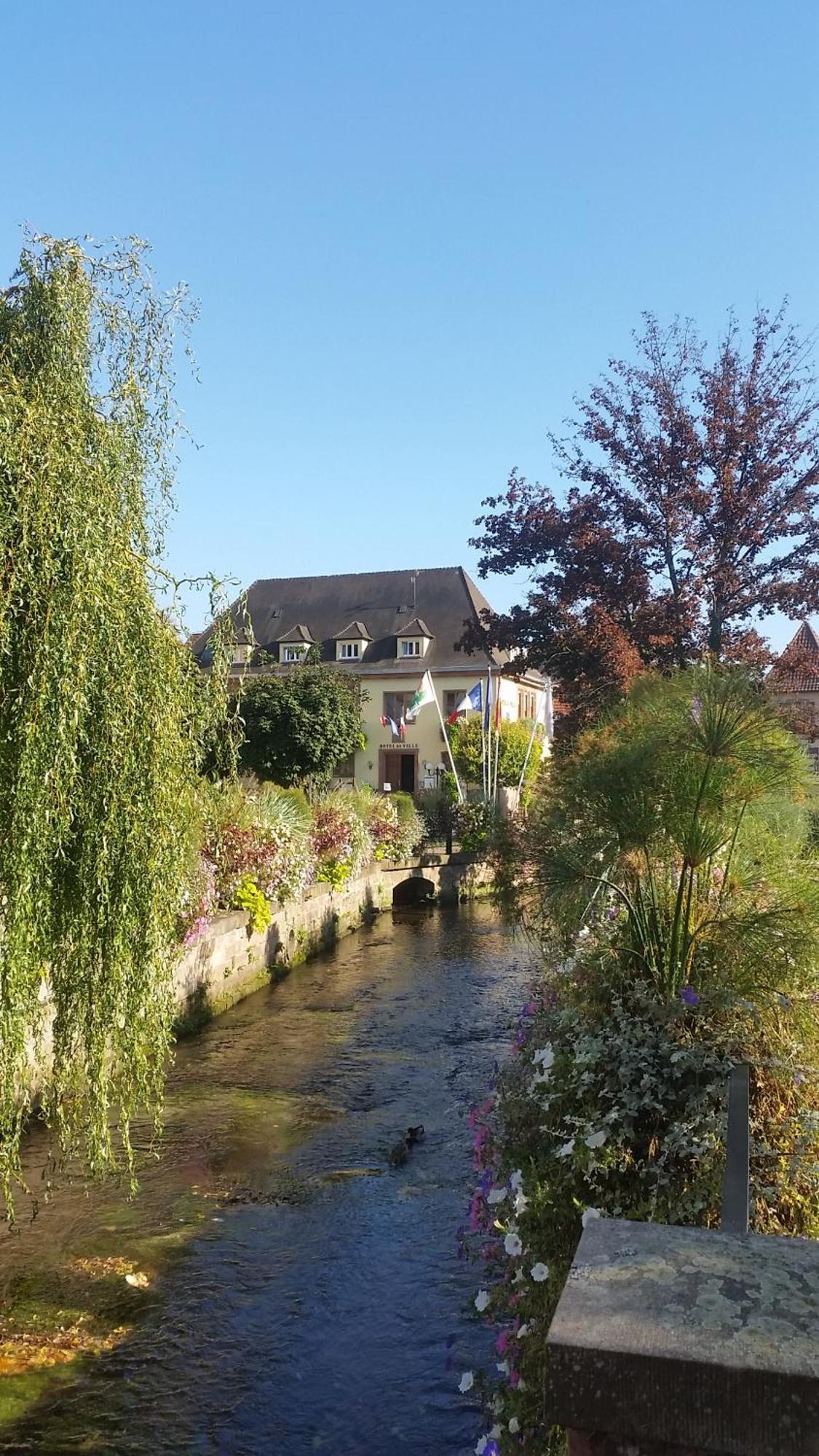 Meubles Du 25 N3 Studio 1Er Etage Niederbronn-les-Bains Buitenkant foto