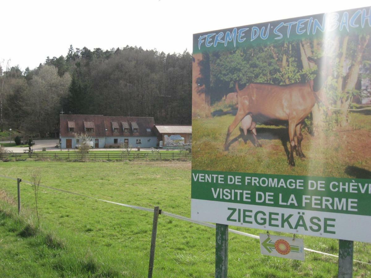 Meubles Du 25 N3 Studio 1Er Etage Niederbronn-les-Bains Buitenkant foto